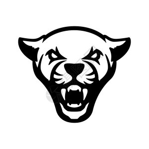 美洲熊头号标志体育队徽章吉祥物矢量说明的设计要素背景图片