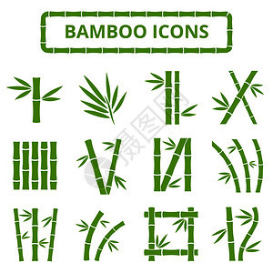 竹茎和叶质矢量图标白底的亚丁植物带叶子的竹棍曲线框图画木和叶质矢量图标白底的亚丁图片