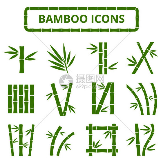 竹茎和叶质矢量图标白底的亚丁植物带叶子的竹棍曲线框图画木和叶质矢量图标白底的亚丁图片