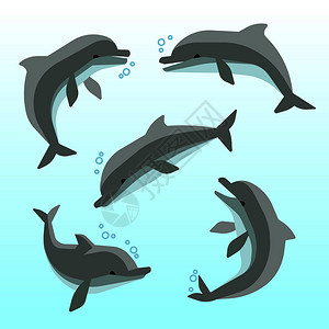 一套可爱的海豚卡通矢量插画图片