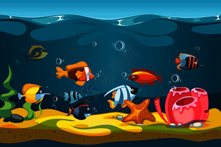 海底世界鱼类和海星海葵图片