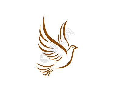 白纸鸽摄影图片 白纸鸽海报设计模板 白纸鸽创意图片 白纸鸽插画插图