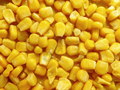 玉米粒图片