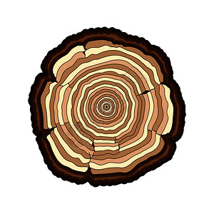 分裂互补色褐色矢量树环切割在白色上隔绝的树干设计图片