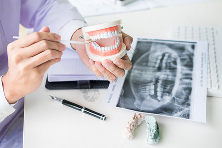 在牙科办公室专业诊所集中的牙医坐在桌子上抽取下巴的牙齿模型样本图片