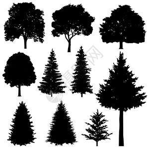 各种形态树木黑色剪影图片