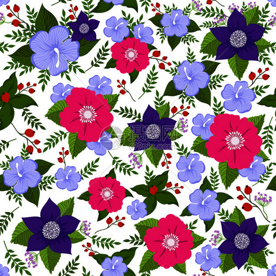 夏季抽象花卉矢量背景图片