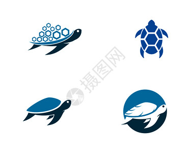保护海洋动物海龟动物漫画图标矢量插插画
