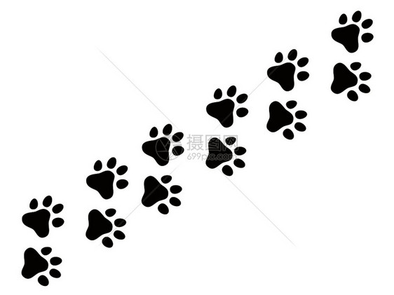 猫爪足迹狼狗自然矢量形态和背景狼猫狗脚足迹动物插画图片下载 正版插画 摄图网