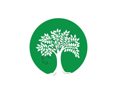 芹菜根图图片