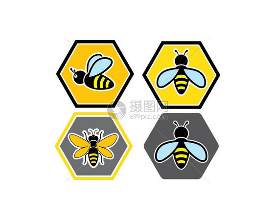 蜂蜜标模板矢量图插设计图片