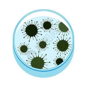 带微生物的花盘矢量说明实验室研究细菌图片