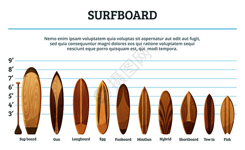 不同尺寸和设计的木材冲浪板矢量元素图片