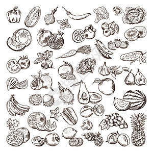 手工绘制水果和蔬菜的图片涂鸦素食品插图蔬菜和水果绘画面涂鸦素食品插图图片
