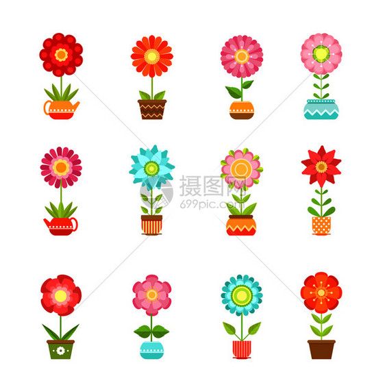 盆中花卉植物插图图片