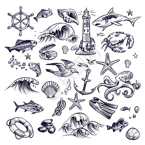 海洋航程鲨鱼蟹章海星结壳蟹船锚元素图片