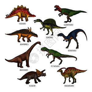 不同类型恐龙图片