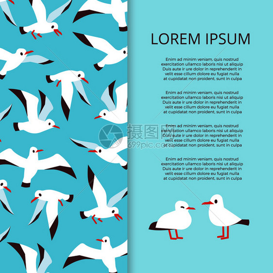 鸟类插图设计海报图片