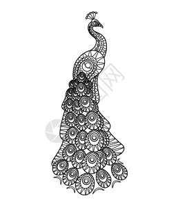 花画矢量白色背景上的孔雀尾巴矢量说明手画孔雀插画
