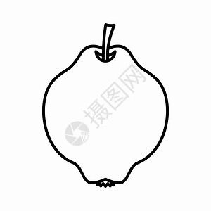 苦芥菜插画