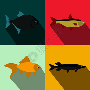 扁平鱼类图标图片