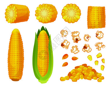 谷物果仁插画_谷物果仁卡通_谷物果仁插图_手绘_板绘_摄图网