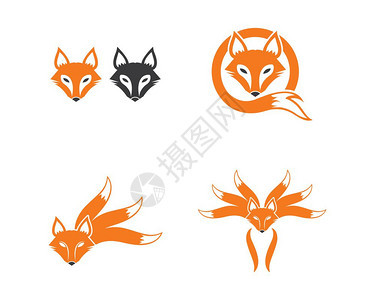 狐徽标图矢量模板设计图片
