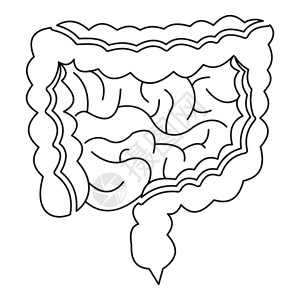 肠道怎么画简笔画图片