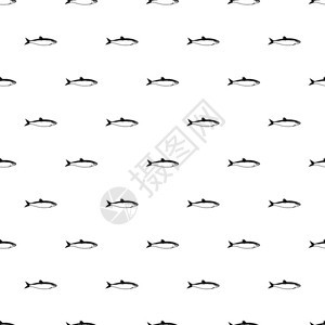鱼类热带鱼矢量背景图图片