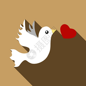 鸽鸽插画_鸽鸽卡通_鸽鸽插图_手绘_板绘_摄图网