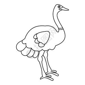 新西兰鲁冰花ostrich图标用于web的矢量图标大纲插标大纲样式插画