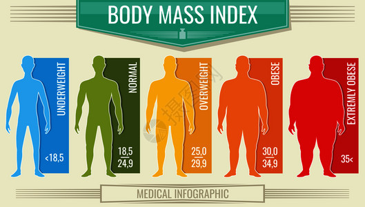 体重指数人病媒身体健康指数bmi图表带有男轮长和比例图片