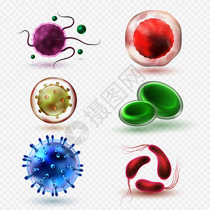 细菌微生物和健康微生物说明封闭微生物人体细胞和菌孤立病媒说明封闭微生物人体细胞和菌孤立病媒说明图片