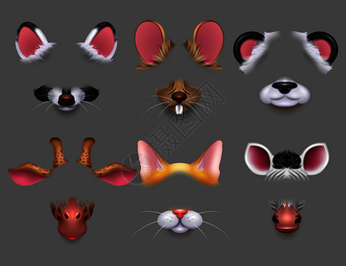 动物格avtr用于自我应插图可爱动物耳朵和鼻部视频效果过滤器有趣的动物为移电话矢量套面罩图片