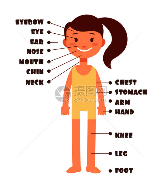 卡通小女孩身体名称词汇表
