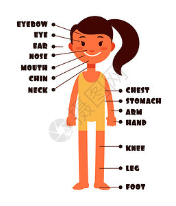 卡通小女孩身体名称词汇表图片
