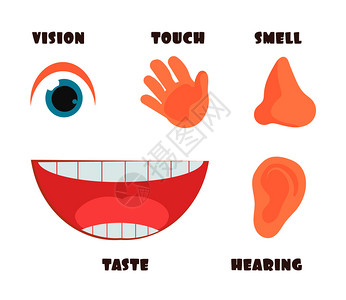 五官争功作文400字_五官争功作文三年级上册_五官争功作文