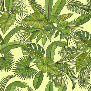 绿叶棕榈矢量背景图片