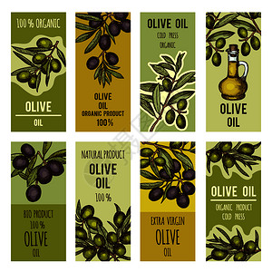 为橄榄油瓶设定的标签为优质产品橄榄油有机和自然图例设定的病媒计模板为优质产品设定的病媒计模板为优质产品设定的病媒计模板图片