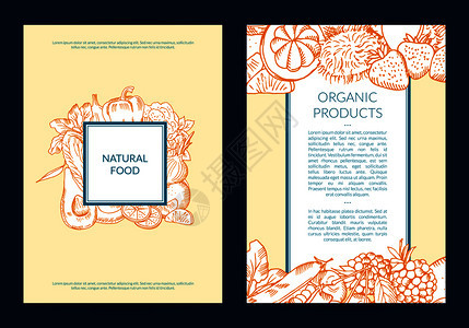 手工种植水果和蔬菜卡小册子附有框架图的传单模板图片