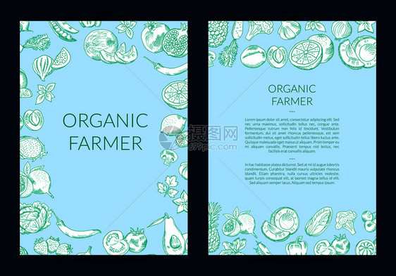 手工种植水果和蔬菜卡小册子传单模板插图图片