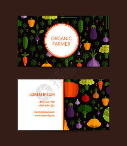 病媒平板蔬菜有机农场素食健康品商业卡模板图片