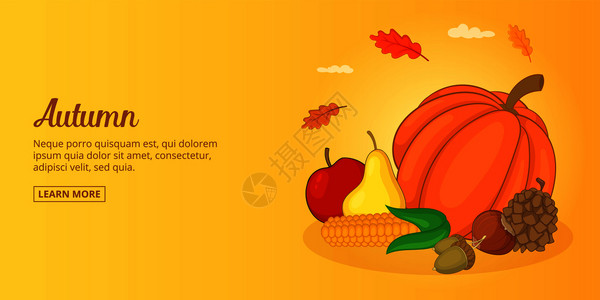 秋天食物插图图片