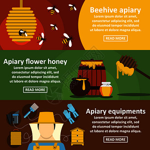 apicl蜂蜜横幅向概念集3pical蜂蜜矢量横幅向概念的平方插图用于网络蜂蜜横幅向概念集平板风格图片