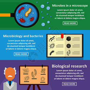 3个细菌媒横幅概念用于网络细菌横的幅概念集平板风格图片