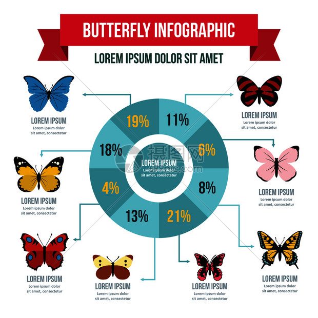 蝴蝶活页图横幅概念用于网络的蝴蝶活页图矢量海报概念的平面插图蝴蝶