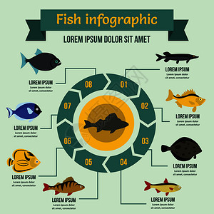 鱼类信息图集横幅概念鱼信息图矢量海报概念用于网络的平面插图鱼信息概念平面风格图片