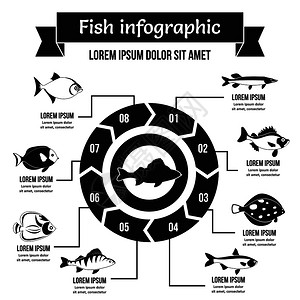 鱼类信息图集横幅概念为网络简单说明鱼类信息图矢量海报概念鱼类信息图概念简单风格图片