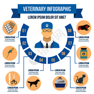 兽医诊所Infographic矢量海报概念的平面图示供网络使用图片