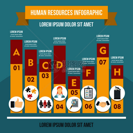 人力资源信息图横幅概念网络人力资源信息图矢量海报概念的平面图示人力资源信息图概念平面风格图片